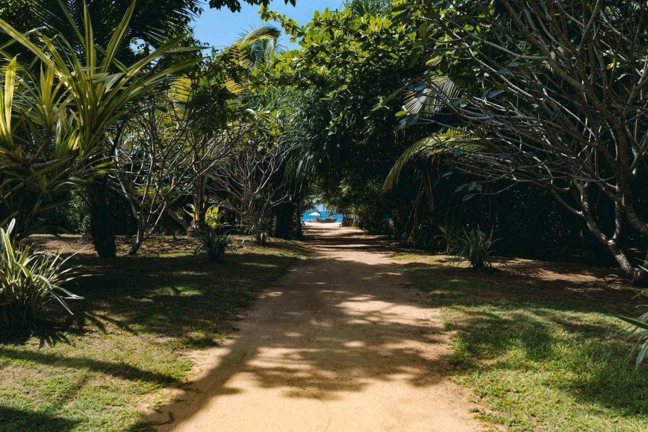 Amal Beach Hotel Бентота Экстерьер фото